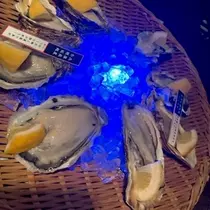 成海 まお