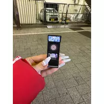 ティラノまな