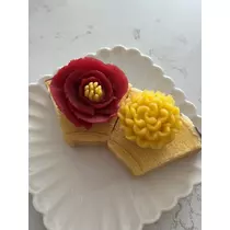 綾瀬 優