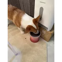 足立 はな