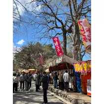 桜乃 咲美