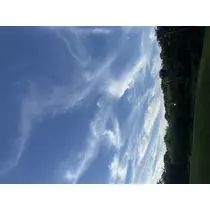 まき
