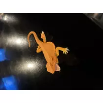 ツキ