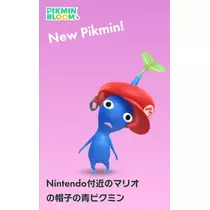 まりん