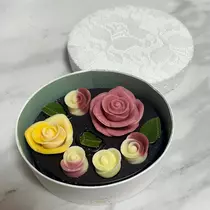 桜乃 咲美