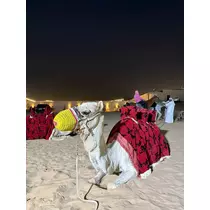 ふうか