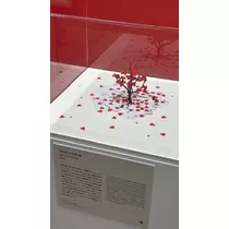 あみ