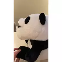 立華 碧