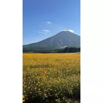 月乃 モモ