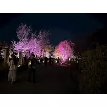 えりか