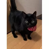 えり