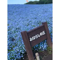あき
