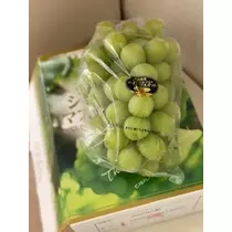 桐島 りゅう