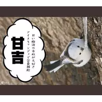 ひな
