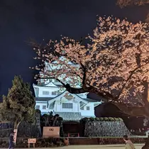 ゆい