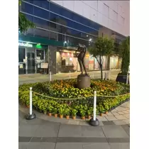宝條 夏恋