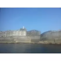 本城 椿