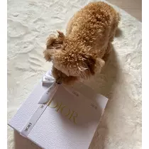 もえ