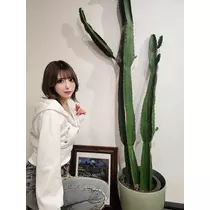 いずみ らむ