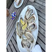 月城 ルル