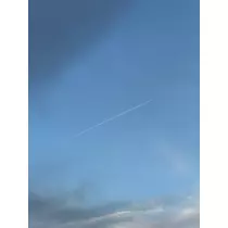 せら