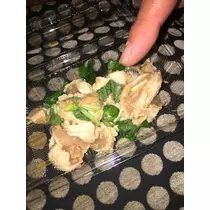 白石 愛莉