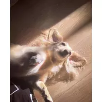 ねね