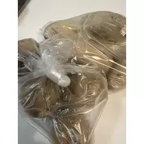 白石 愛莉