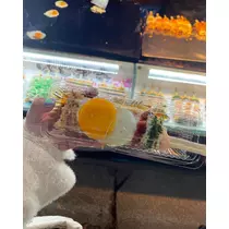 凛花