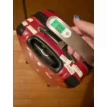 さり
