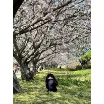 あ