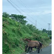 りょう