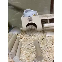 あんな