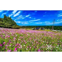 神崎　唯