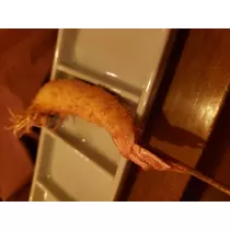 荒木 ナツミ