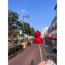 ミノリ