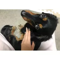 ゆうな