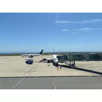 香川 ゆい
