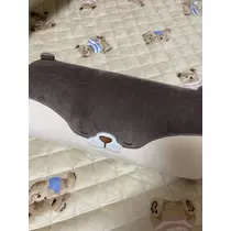 白石 愛莉