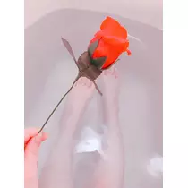 さくら