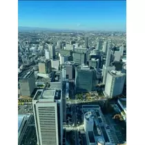 宝條 夏恋