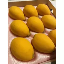 長瀬 純恋