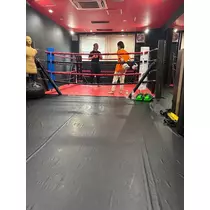 佐倉 里緒