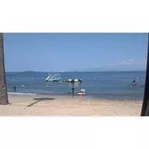 まよい