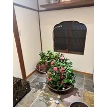 しゅり