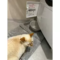 足立 はな