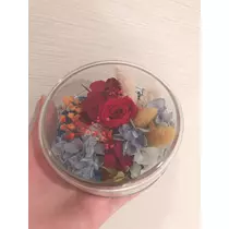 さくら