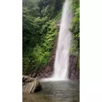 立花 咲