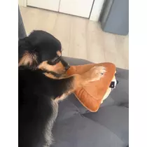 紬 ひかる