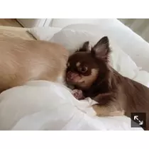 ありさ♡